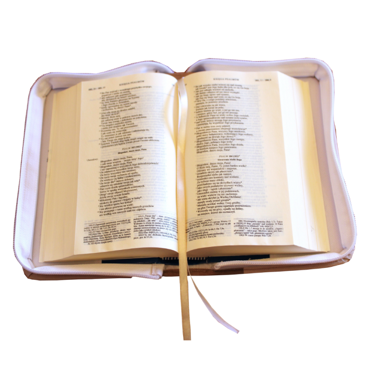 Etui na Biblię gołąb 5_1000x1000